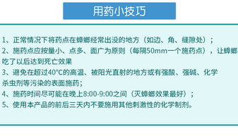 食品工廠如何徹底消滅蟑螂？專家分享實用方法與運營策略