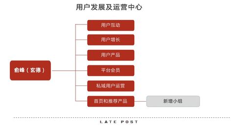 淘寶天貓融合 產品與運營策略的協(xié)同攻堅